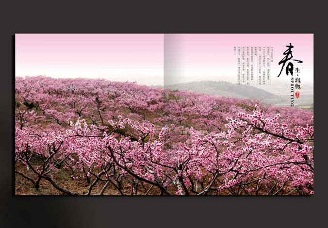 畫冊設(shè)計(jì)，標(biāo)志設(shè)計(jì)，VI設(shè)計(jì)，交互設(shè)計(jì)，包裝設(shè)計(jì)，空間導(dǎo)示，數(shù)志視頻，廣告創(chuàng)意設(shè)計(jì)，博納設(shè)計(jì)