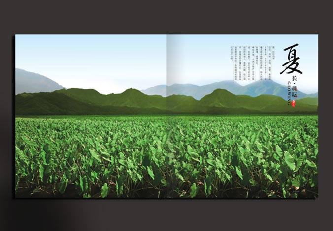 畫冊設(shè)計(jì)，標(biāo)志設(shè)計(jì)，VI設(shè)計(jì)，交互設(shè)計(jì)，包裝設(shè)計(jì)，空間導(dǎo)示，數(shù)志視頻，廣告創(chuàng)意設(shè)計(jì)，博納設(shè)計(jì)