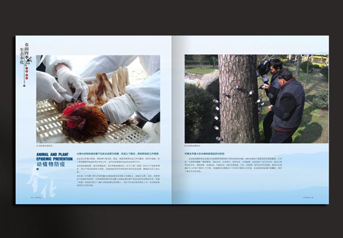 畫冊設(shè)計(jì)，標(biāo)志設(shè)計(jì)，VI設(shè)計(jì)，交互設(shè)計(jì)，包裝設(shè)計(jì)，空間導(dǎo)示，數(shù)志視頻，廣告創(chuàng)意設(shè)計(jì)，博納設(shè)計(jì)