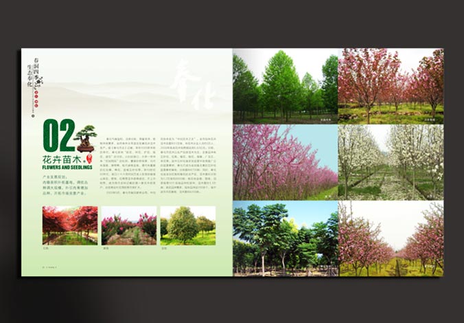 畫冊設(shè)計(jì)，標(biāo)志設(shè)計(jì)，VI設(shè)計(jì)，交互設(shè)計(jì)，包裝設(shè)計(jì)，空間導(dǎo)示，數(shù)志視頻，廣告創(chuàng)意設(shè)計(jì)，博納設(shè)計(jì)