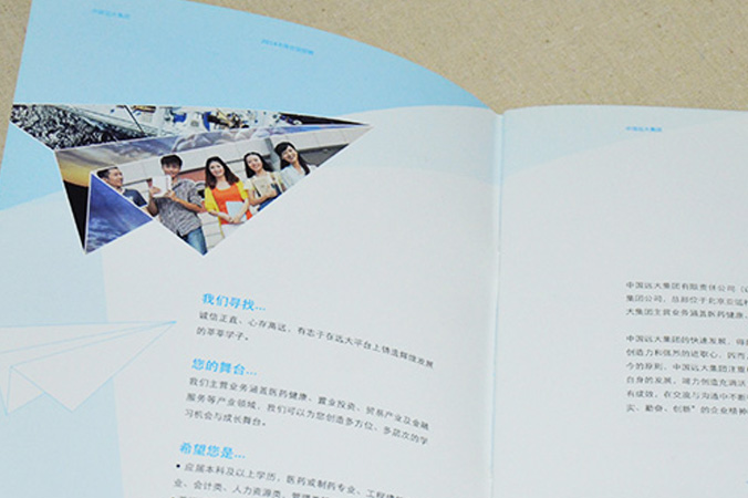 中國遠大集團 畫冊設計 宣傳冊設計 北京彩頁設計 logo設計 商標設計 標志設計 企業logo設計 VI設計 VI設計公司 品牌設計 品牌設計公司
