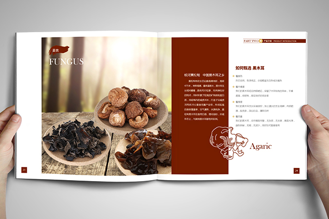 美參堂  北京宣傳冊(cè)設(shè)計(jì)  產(chǎn)品畫冊(cè)設(shè)計(jì)  企業(yè)宣傳冊(cè)設(shè)計(jì)